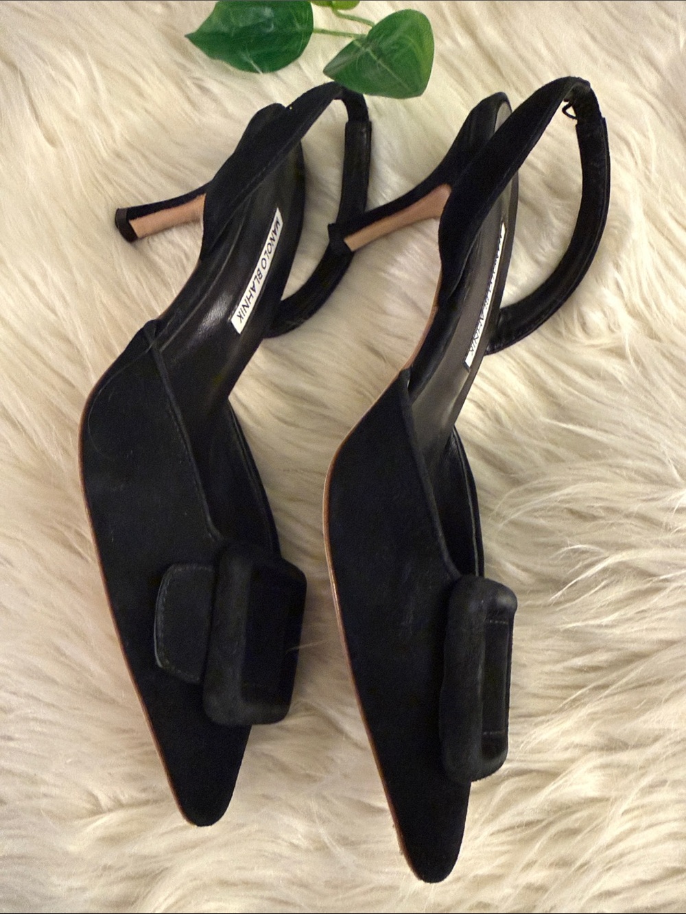 Manolo Blahnik Maysli Black Suede Buckle Slingbacks - Picture 11 of 11